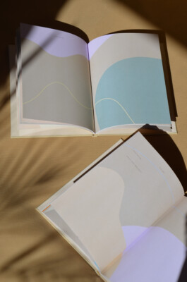nuui studio