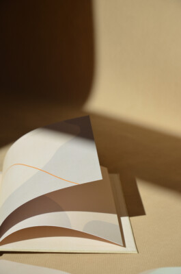 nuui studio